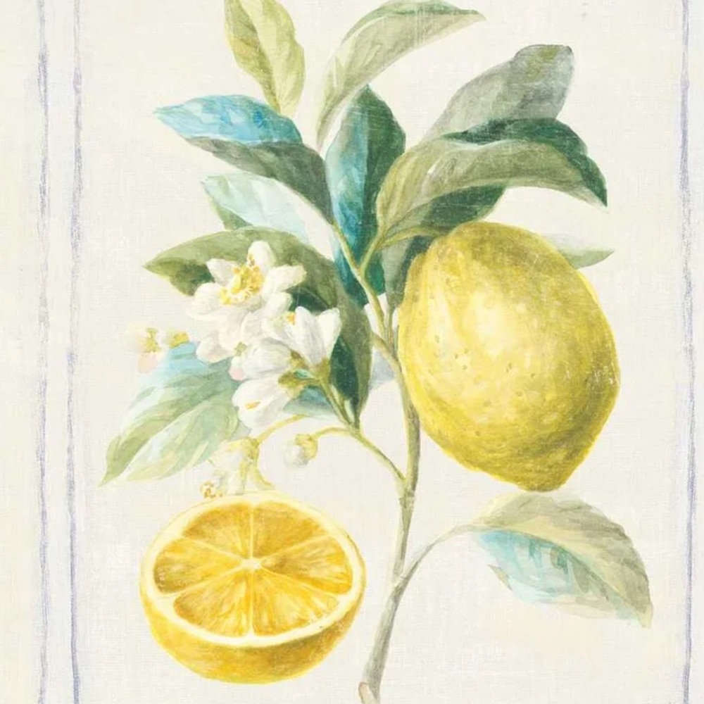 Meet your Posher, the Painted Lemon 🍋